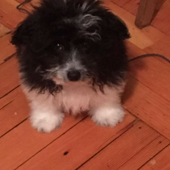 Meet your Posher, Christina - Picture 1 of 1